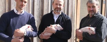 Notre partenariat avec Aachener Mini pigs depuis 2018
