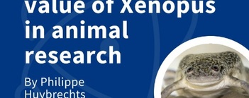 Did you know that Xenopus are an invaluable species in the life science industry? 